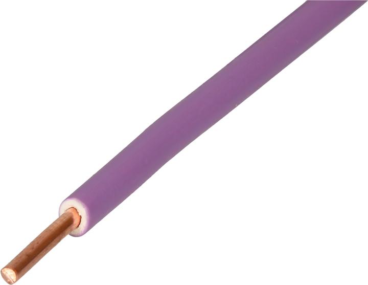 Viola