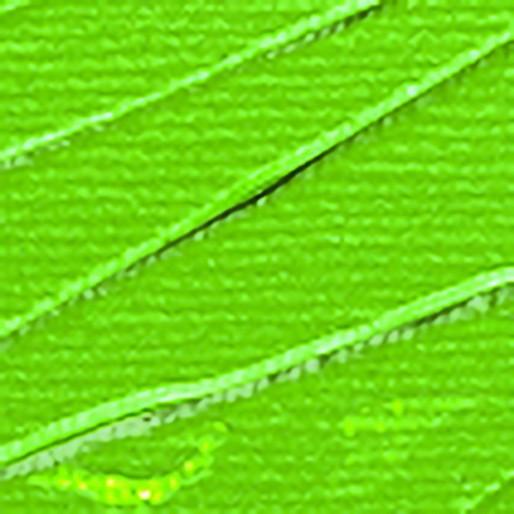 Image du produit Pebeo Acrylique fine Studio Acrylics (Vert oxyde de chrome Imit, 250 ml)