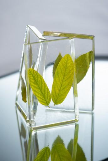 Image du produit Pebeo Kit Resine Cristal Bio (300 ml)