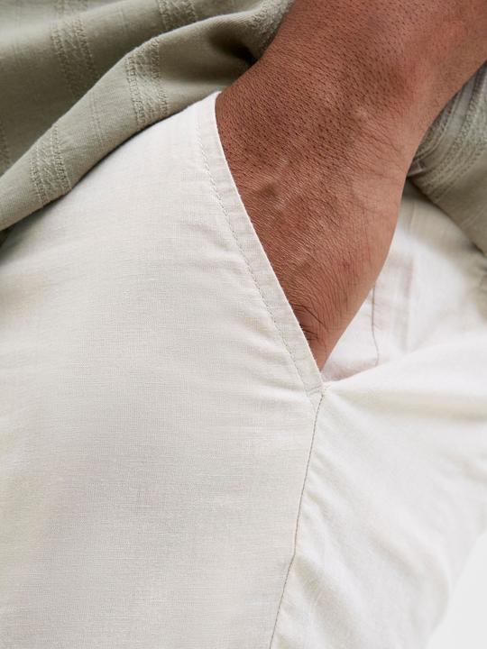 Actual product image Jack & Jones Plus Tapered Chino Shorts Chino Shorts (42)