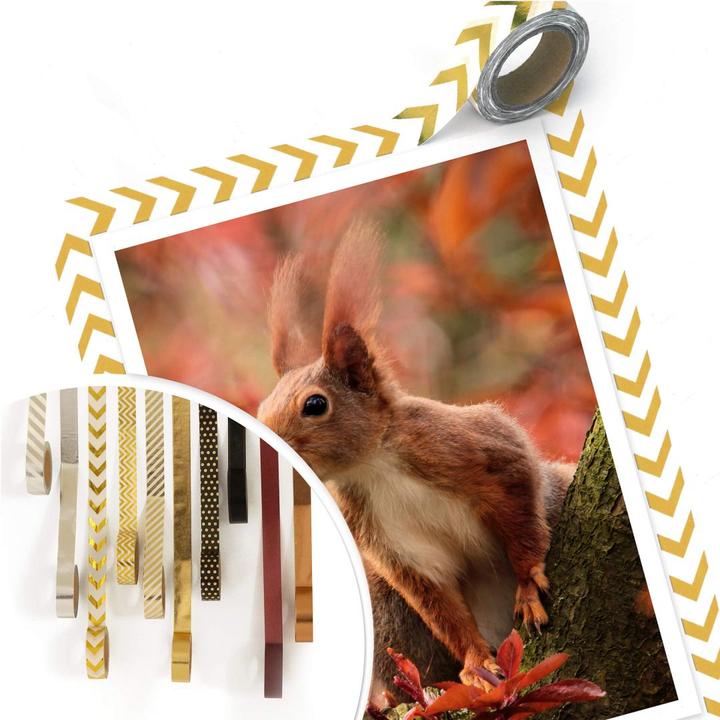 Produktbild Trenddeko Eichhörnchen 01 (50 x 60 cm)