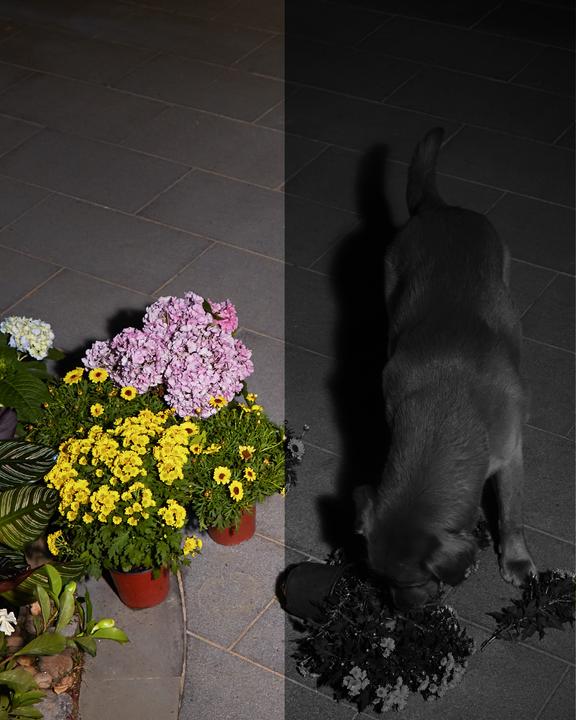 Produktbild eufy Solocam S40 (2304 x 1296 Pixels)
