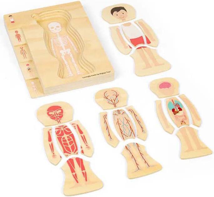 Produktbild Bigjigs Anatomie-Puzzle aus Holz – Junge, 26-teilig.