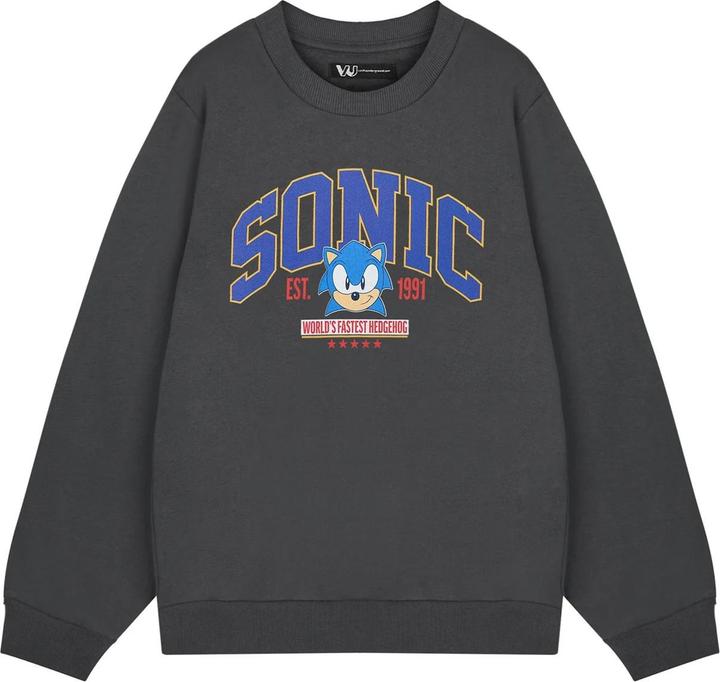 Immagine prodotto Sonic The Hedgehog World's Fastest Felpa Uomo (L)
