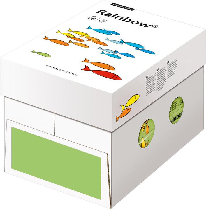 Immagine prodotto Rainbow Carta per fotocopie (80 g/m², 500 x, A4)
