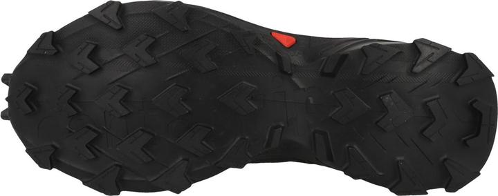 Produktbild Salomon Alphacross 5 GTX (39 1/3)