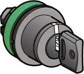Actual product image Schneider Electric Flush Orange Ill Selector Switch Head 2p