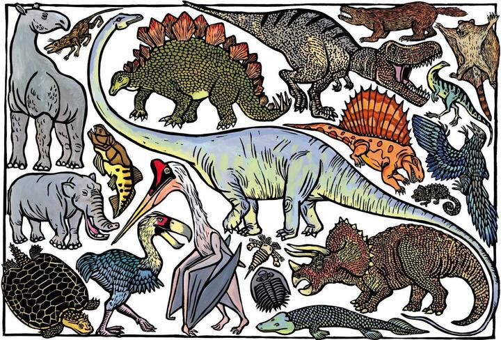 Produktbild Jolivet:Zoo-ologie (Deutsch, Ebi Naumann, Anke Knefel, Joëlle Jolivet, 2024)