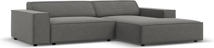 Actual product image Micadoni Jodie (Corner sofa, Modular sofa)