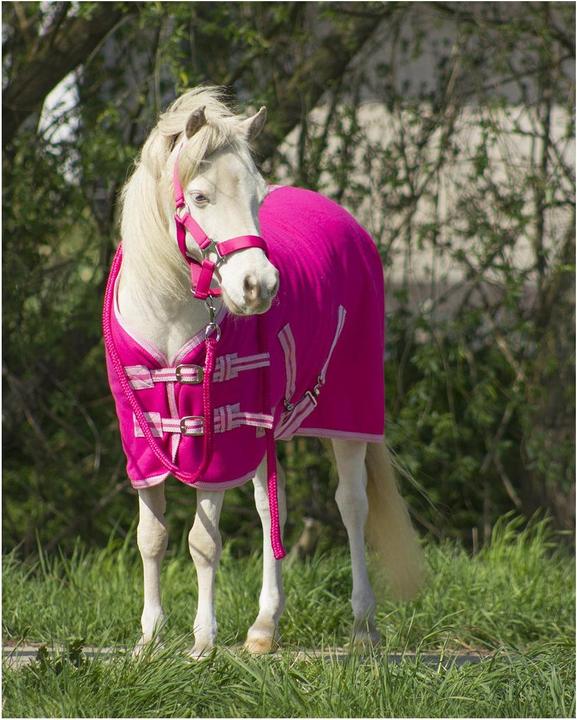 Image du produit Qhp Sweat rug Fleece Color (75 cm)