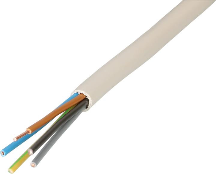 Produktbild Max Hauri TT-Kabel CH-N1VV-U5G (10 m)