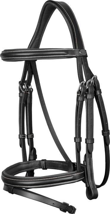 Produktbild Dy'on Anatomischer Zaum mit kombiniertem Reithalfter New English Collection