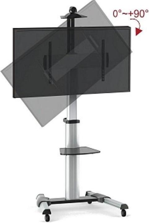 Image du produit Techly Chariot TV/LCD (Universel, 31", 50 kg)