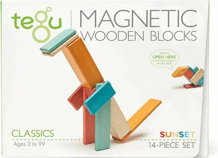 Actual product image Tegu Magnetic
