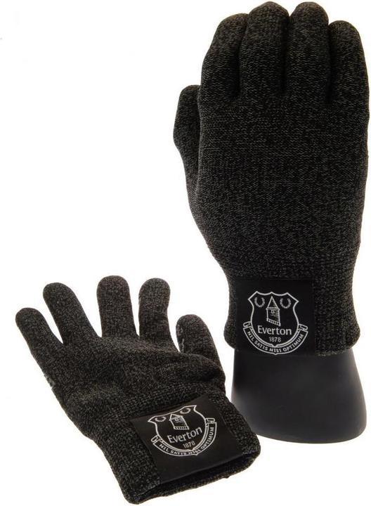 Actual product image Everton FC UTTA5071 P (One size)