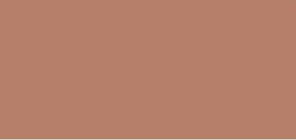 Actual product image MAC Cosmetics Eye Shadow / Pro Palette Refill Pan (Mat Charcoal Brown)