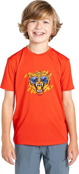 Immagine prodotto Dare2b Amuse II Maglietta Tigre Bambini (170)