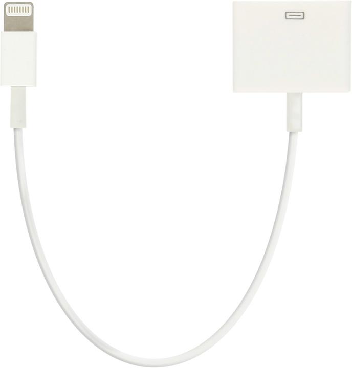 Produktbild Avizar Lightning / 30-Polig Adapter (Lightning, 30-pin)