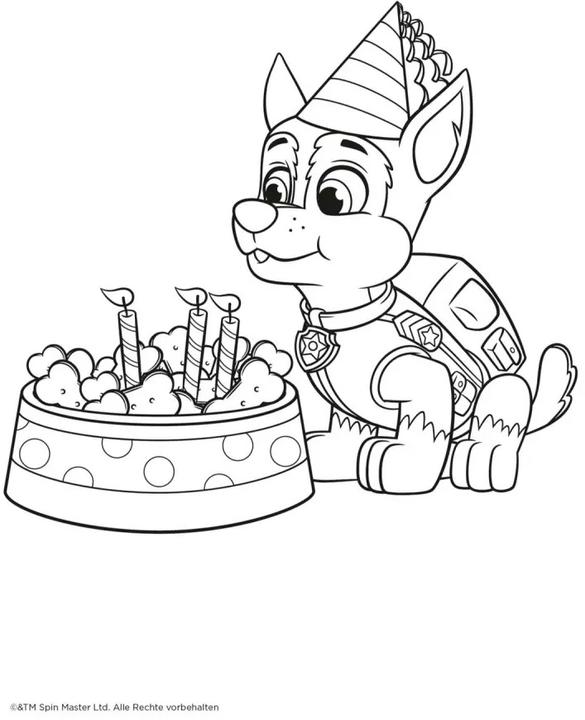 Actual product image Paw Patrol