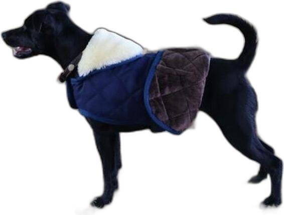 Produktbild Kentucky Dogwear Hundemantel 160g (S, Hundemantel)