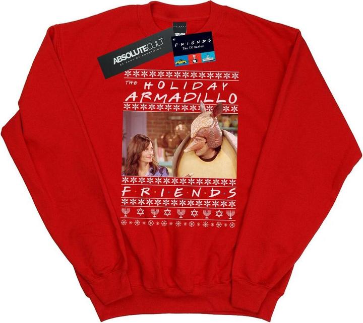 Friends Fair Isle Holiday Armadillo Sweatshirt (L)