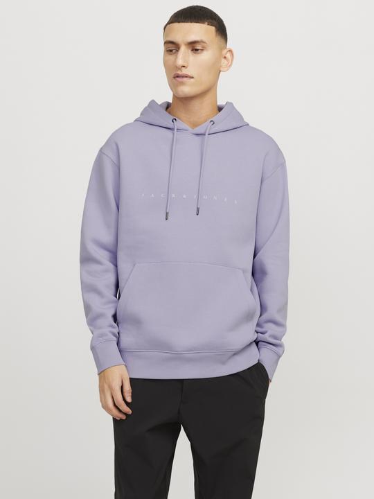 Image du produit Jack & Jones Jjestar Jj Sweat Hood Noos (XXL)