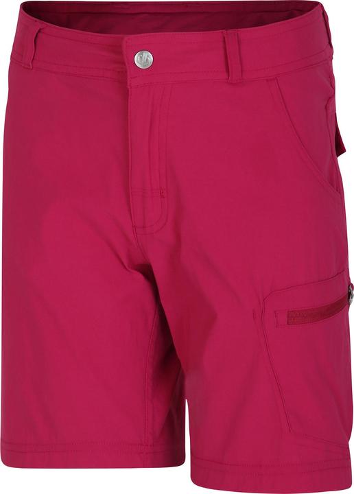 Actual product image Dare2b Childrens/Kids Reprise II Shorts (158)