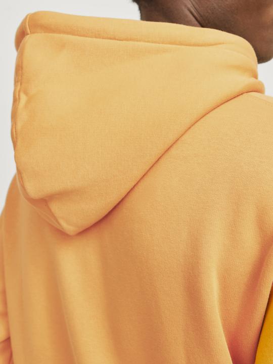 Image du produit Jack & Jones Imprimé Sweat à capuche Sweat à capuche (S)
