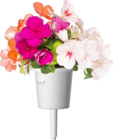 Image du produit Click and Grow Lizzy l'occupée (Graines de fleurs)