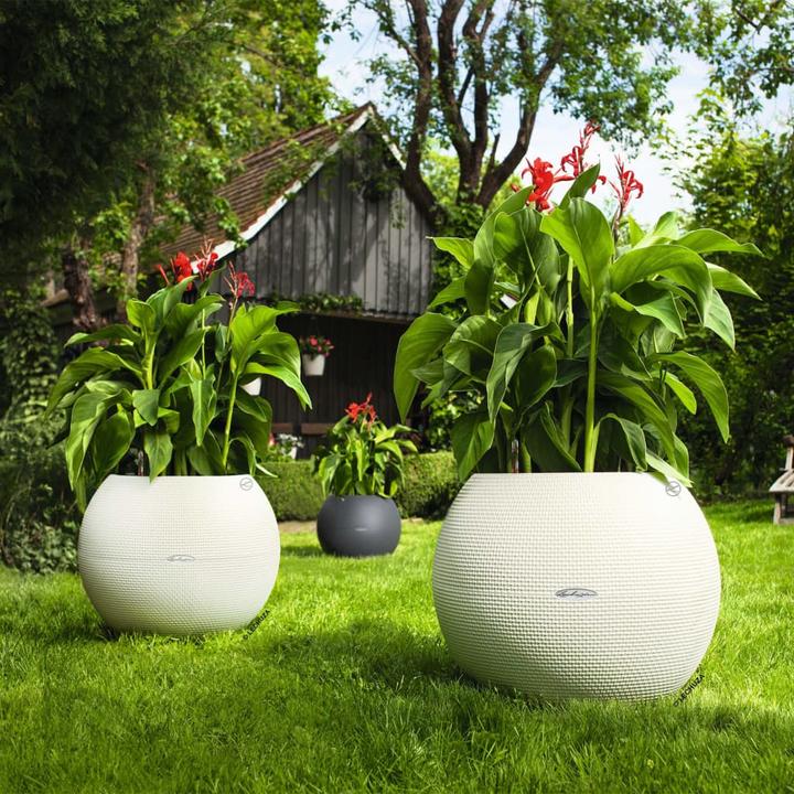 Produktbild Lechuza PURO Color 50 (49 cm)