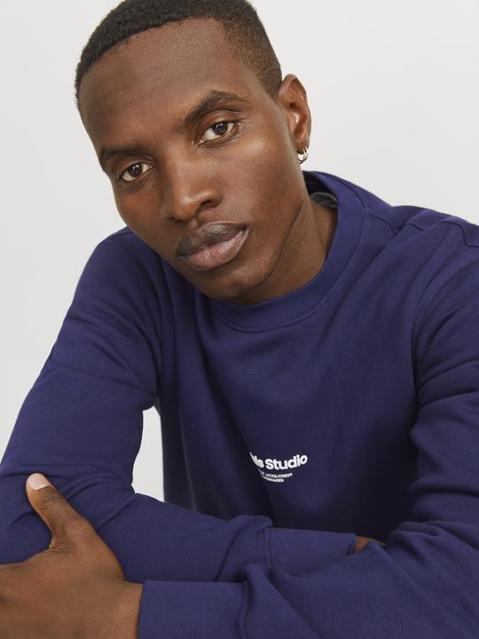 Actual product image Jack & Jones Gedruckt Sweatshirt Sweatshirt (XL)