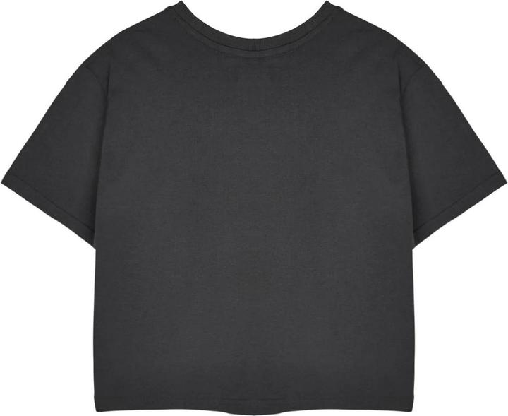 Actual product image Rugrats Womens/Ladies Retro Logo Short-Sleeved Crop Top (M)