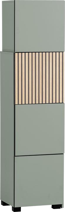 Actual product image Schildmeyer Alexa sliding shelf pistachio / acoustic decor