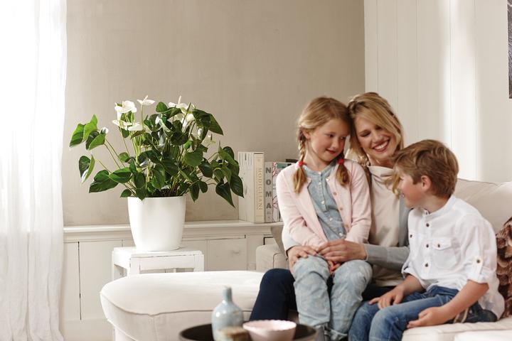 Produktbild Elho Brussels (29.50 cm)