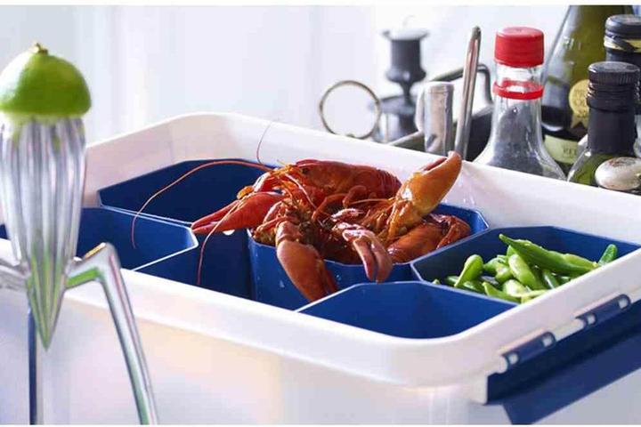 Image du produit Orthex Boîte professionnelle (50 x 39 x 26 cm, 32 l)