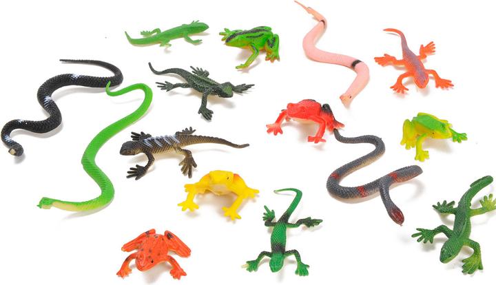 Actual product image LG-Imports Reptiles