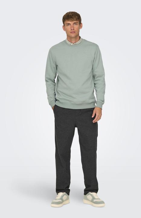 Produktbild Only & Sons Onsconnor Reg Crew Neck Sweat Noos (XS)