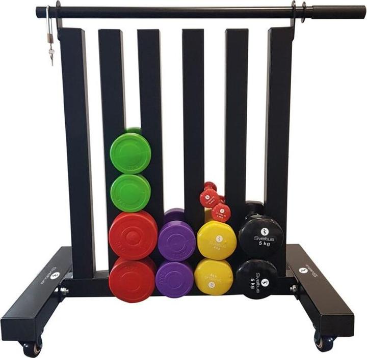 Immagine prodotto Kübler Sport Portapesi a mano (1 x 15 kg)