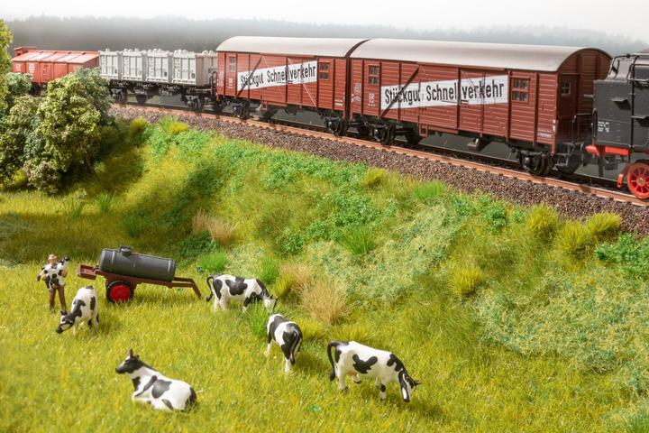 Produktbild Noch Vegetations-Startset Bahndamm