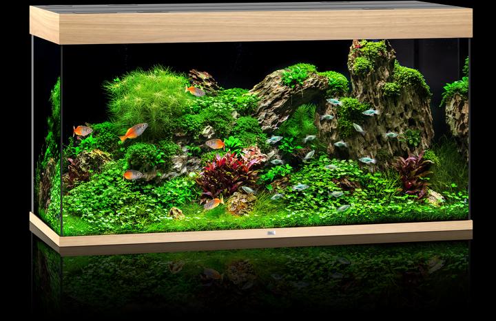 Produktbild Juwel Aquarium Rio (350 l)