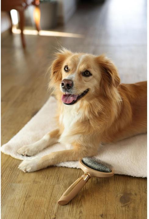 Actual product image Magic Brush Soft plucking brush for dogs (Dog)