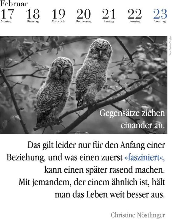 Actual product image The literary owl calendar 2025 (24 x 32 cm, Hardcover, German)