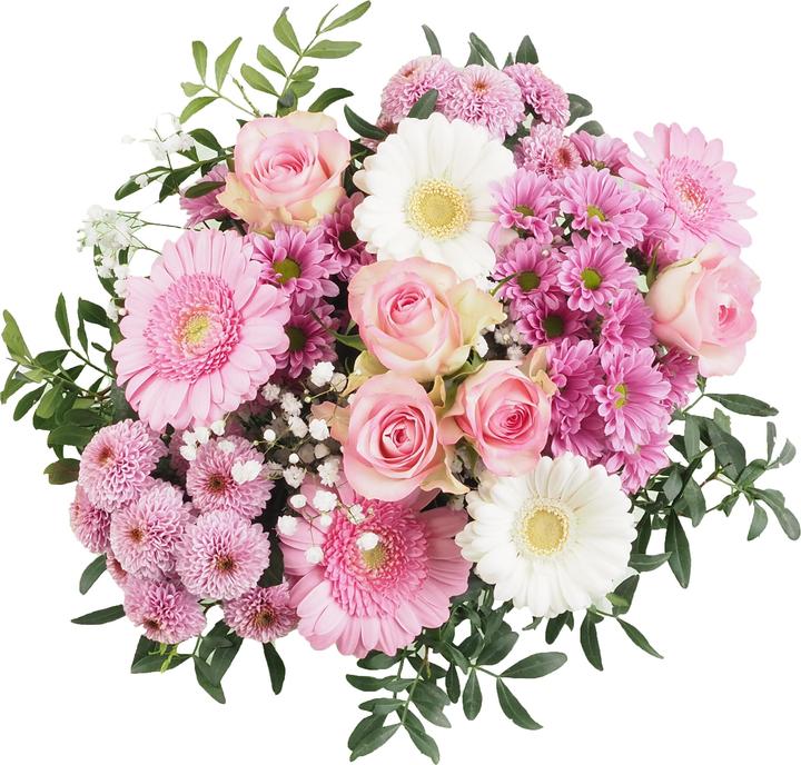 Migros Ostschweiz Grappolo grande (Fiori recisi)