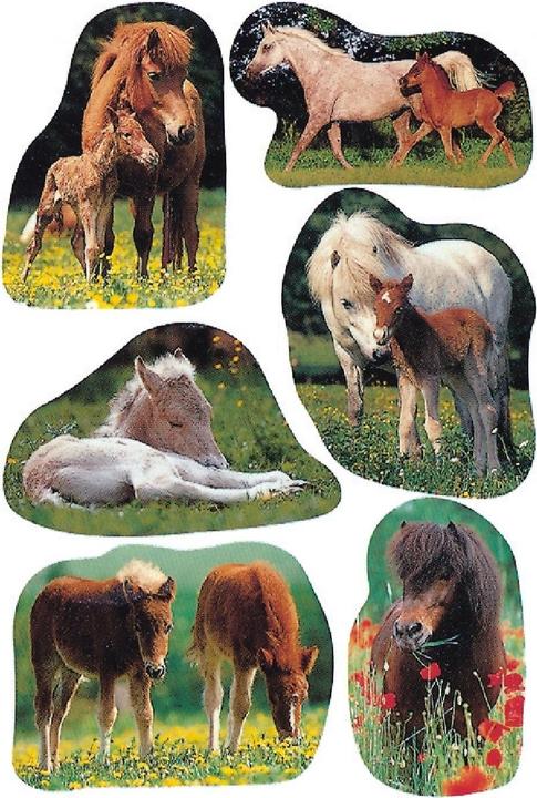 Actual product image HERMA Decor stickers
