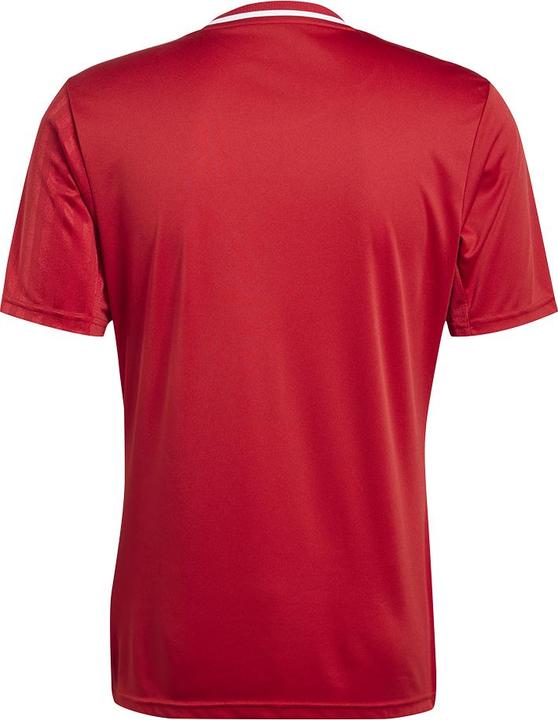 Image du produit adidas Maillot Campeon 25 (3XL)