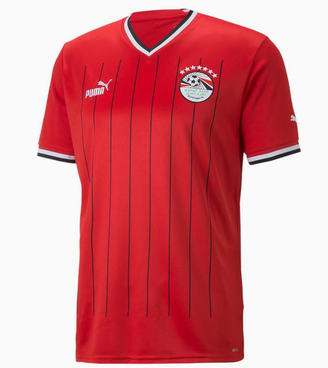 Immagine prodotto Puma Maglia EFA Home Replica (L)