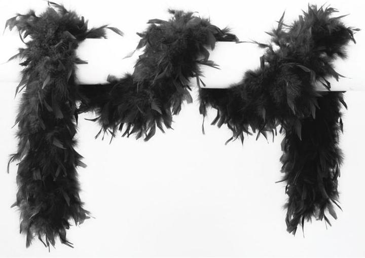 Wilbers Boa en plumes 180 cm