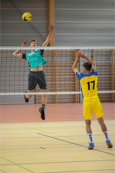 Actual product image Erima Six Wings Trikot (L)