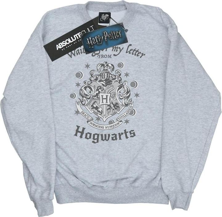 Hogwarts Waiting For My Letter Sweatshirt
