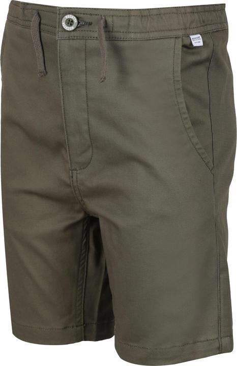 Actual product image Regatta Alber Shorts (146)